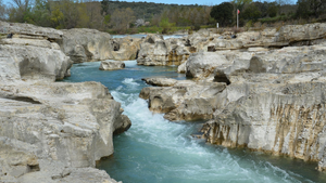 Vétérinaire de garde La Roche-sur-Yon